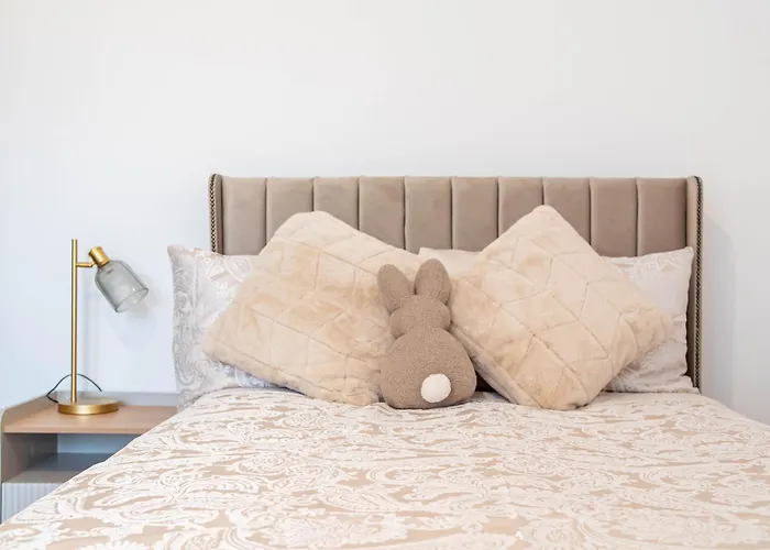 Belgian Studio Apt 2